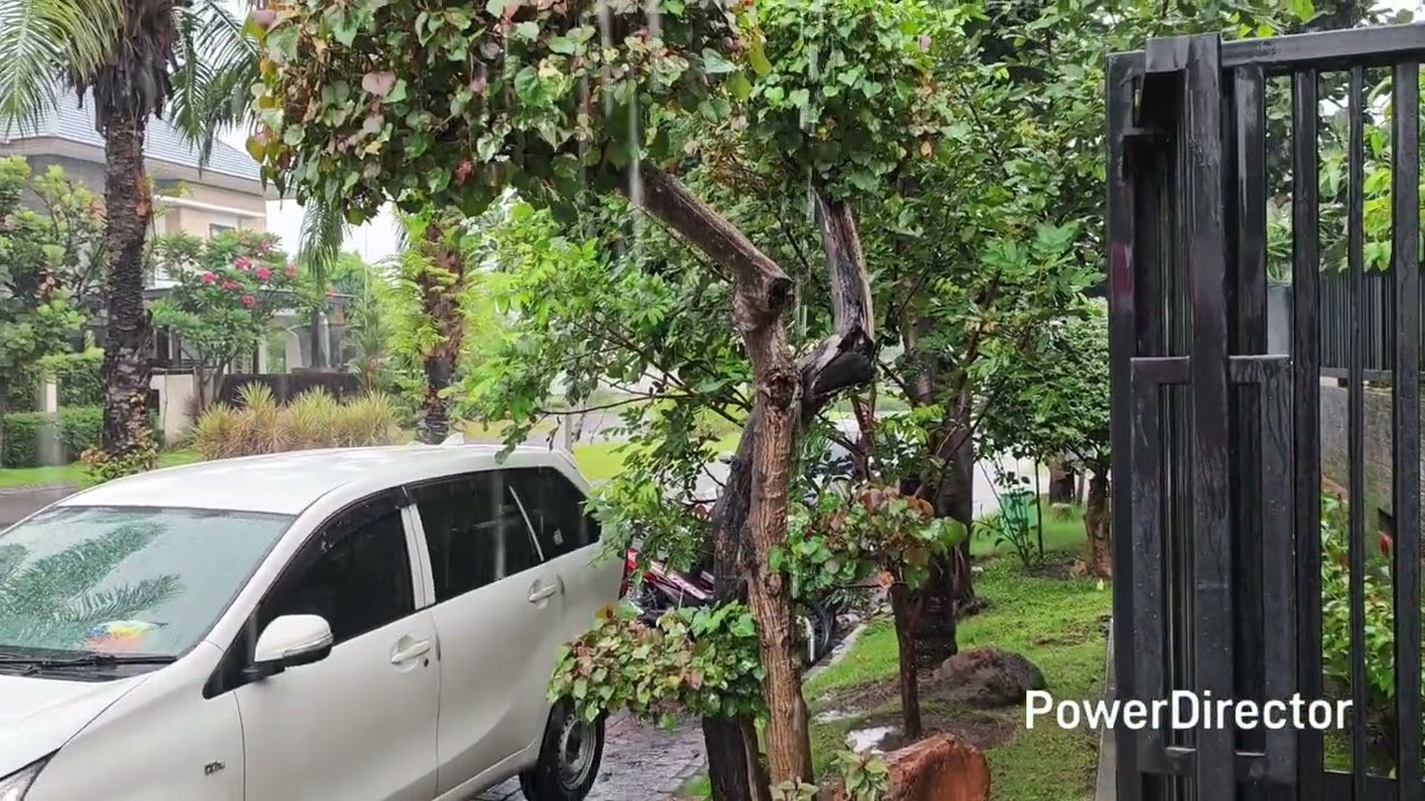 Musim Penghujan Telah Tiba || Hal Hal Yang Perlu Diantisipasi Saat Memasuki Musim Penghujan. 