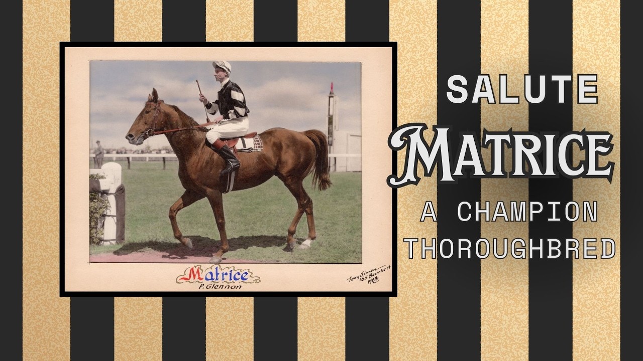 Tribute to Matrice | The Just Family Thoroughbred Legacy | SA Breeders Matrice Award