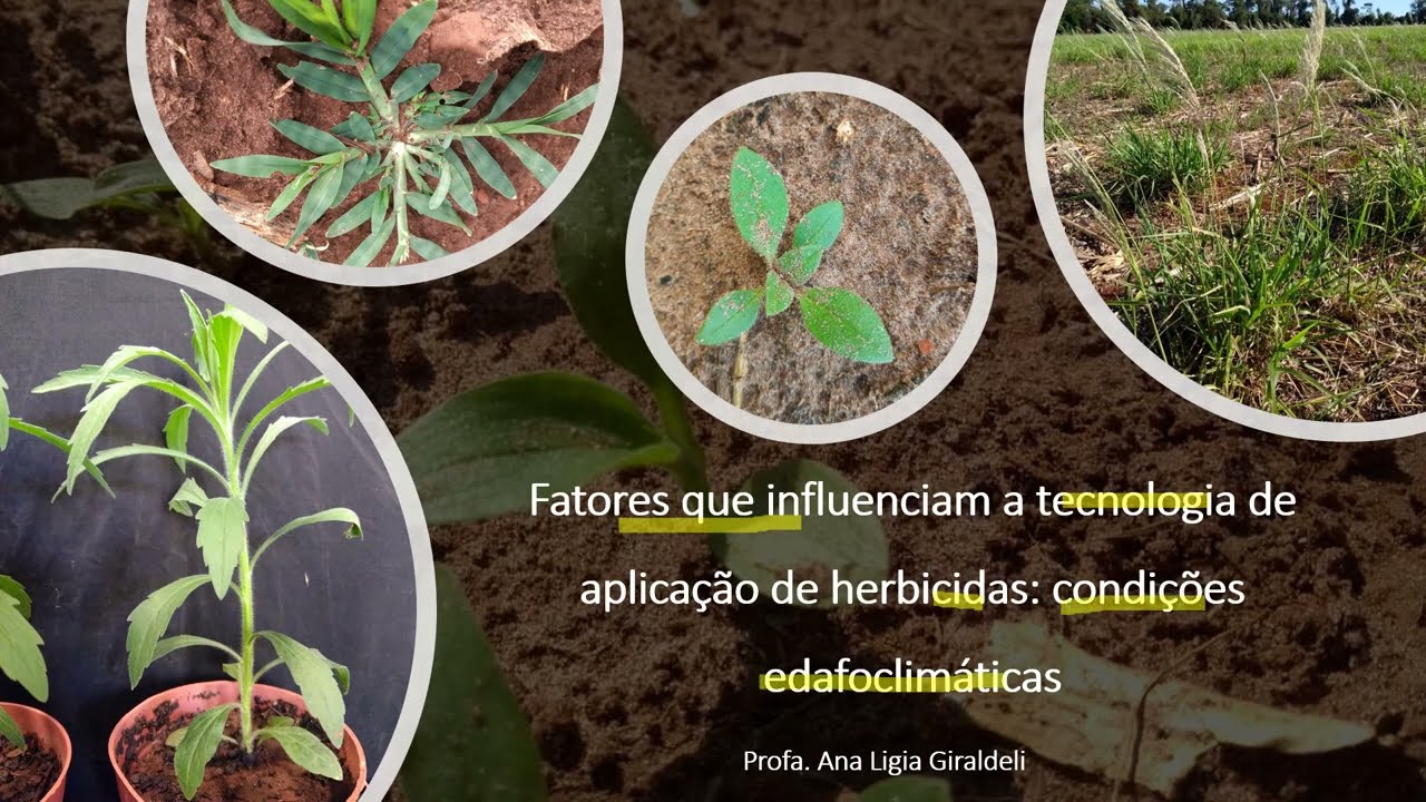 Fatores que influenciam a tecnologia de aplicação de herbicidas: condições edafoclimáticas