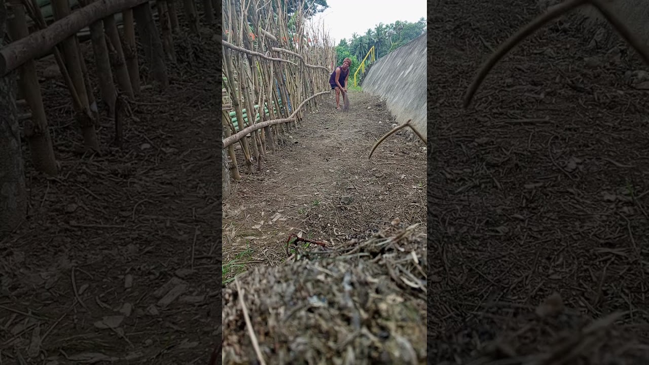Linis Day sa Garden Kahit maabuyan Ng init ok lang Basta Matapos #garden #walis #Linis #cleaningday