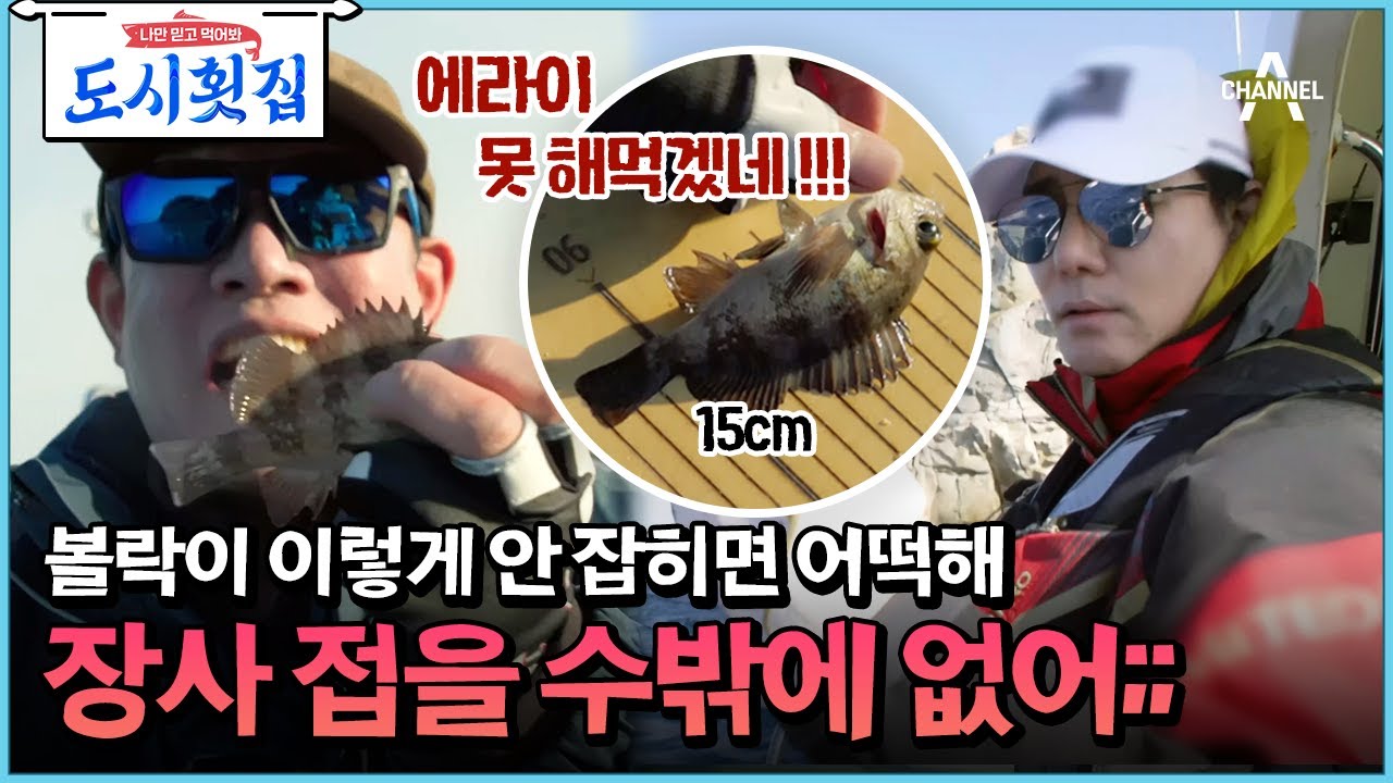 [#도시횟집] 볼락이 안 잡혀서 낚싯대 던져버린 이경규!! 이대로 도시횟집 오픈 가능?!  #이경규 #볼락 | 도시횟집 3 회