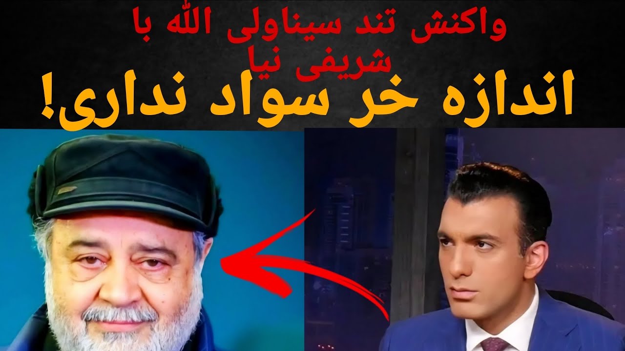 حمله تند سینا ولی الله به محمدرضا شریفی نیا/اندازه خر هم سواد نداری