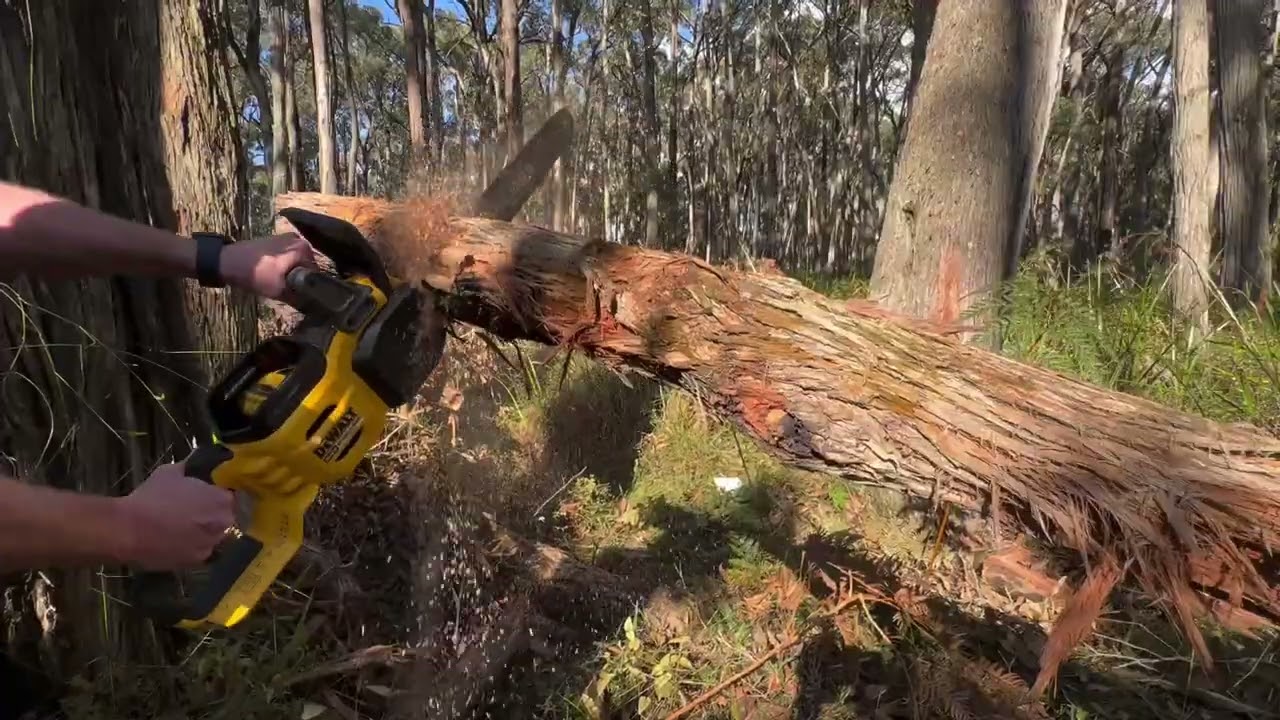 Dewalt 20” 54V Flexvolt Chainsaw