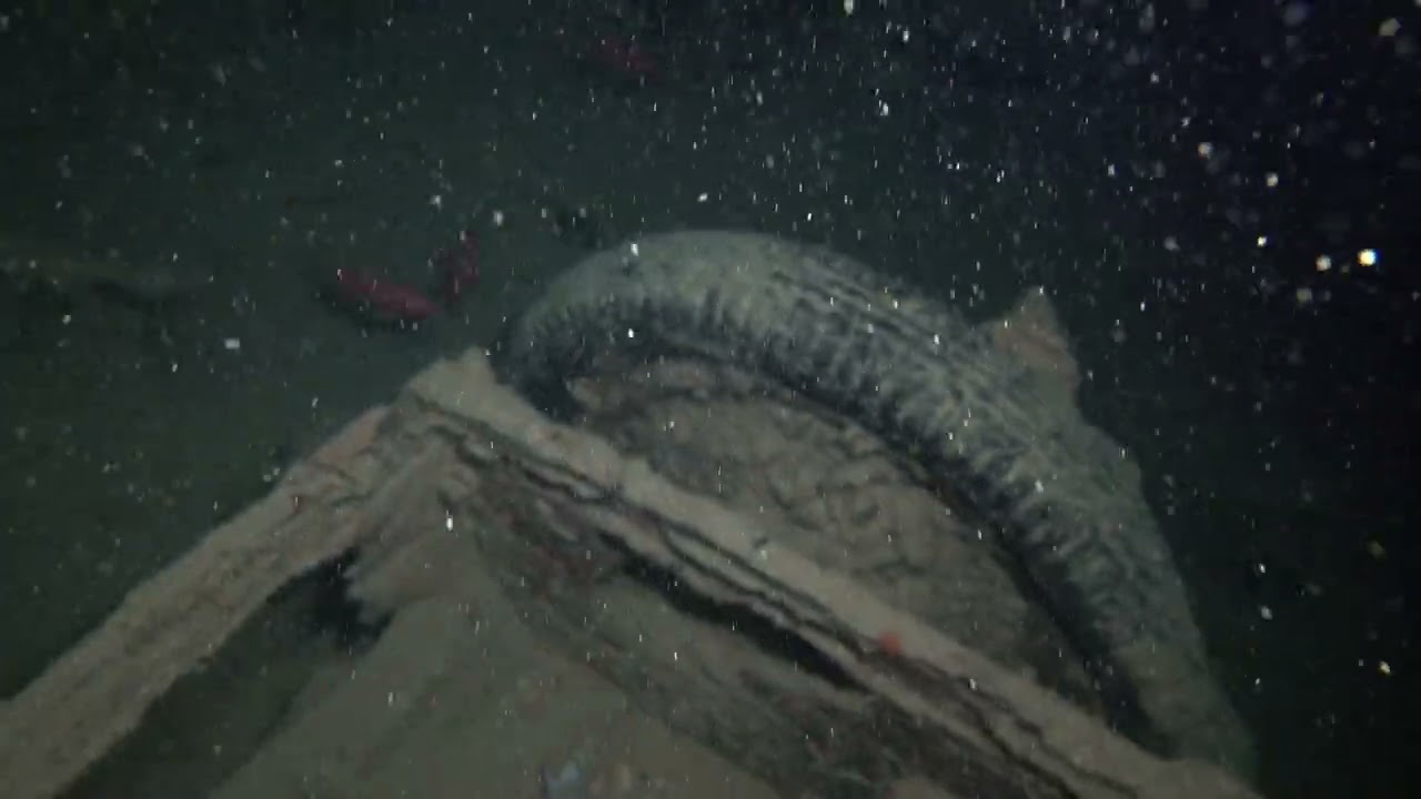 Penetrating the SS Thistlegorm