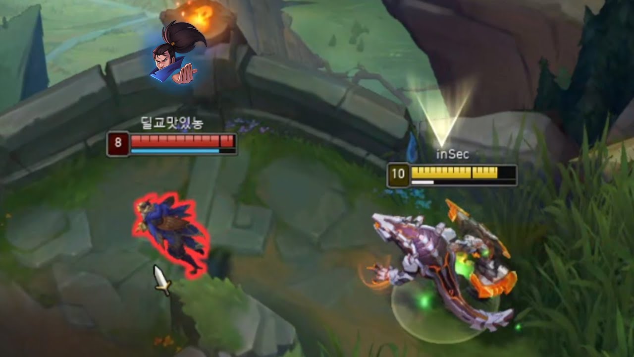 악어와 악어새