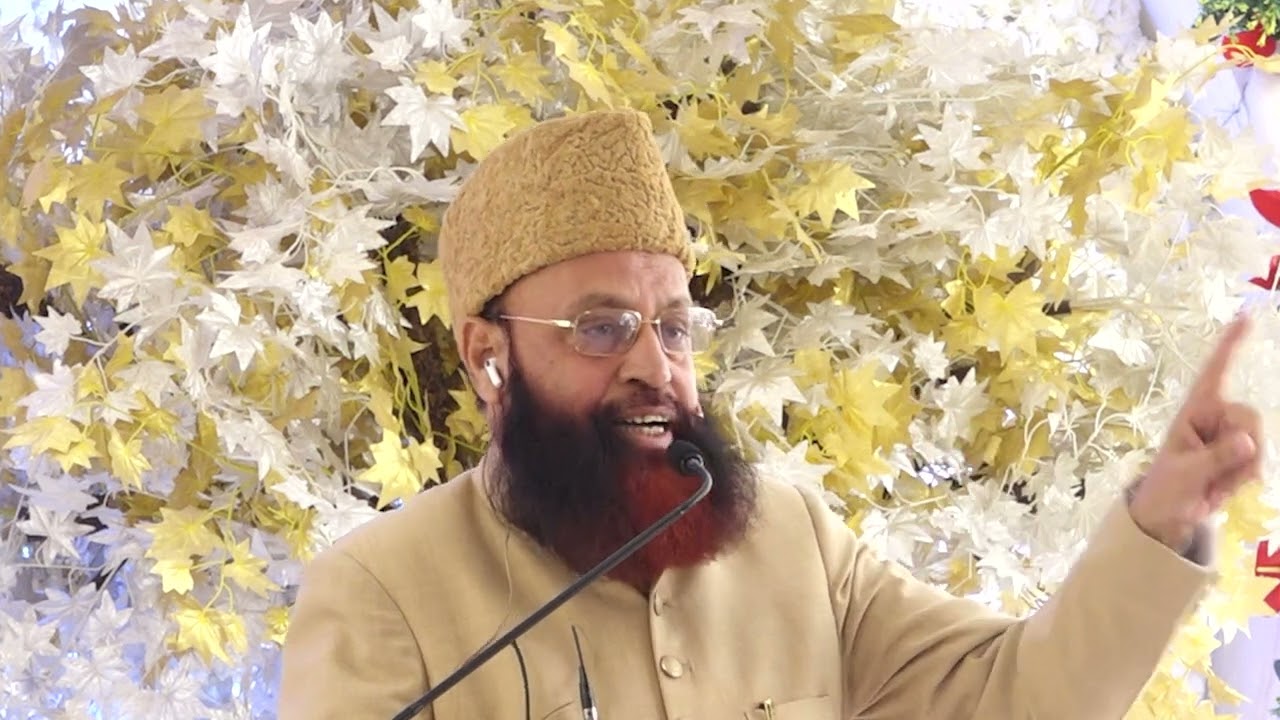 Hazrat Syed  Dr  Aleem Ashraf Jaisi speaking on Maula Ali (A.S.) for Humanity