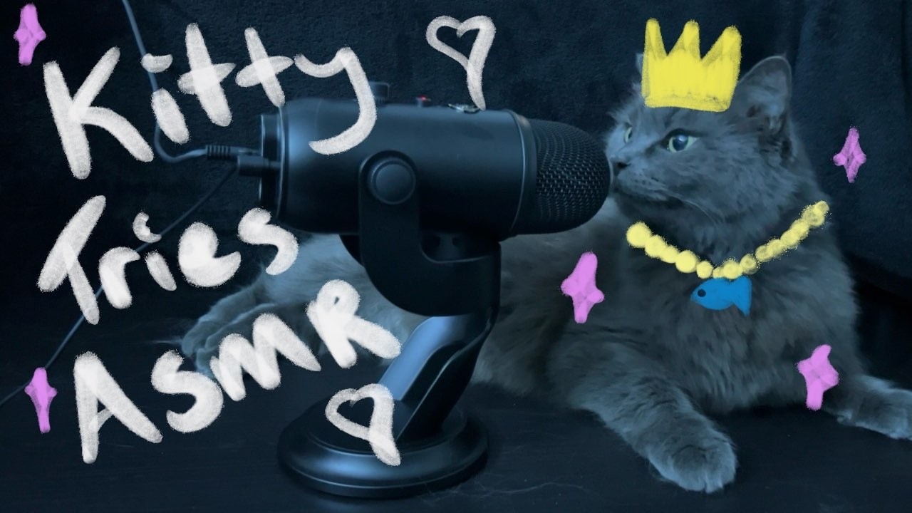 Cozy Cat ASMR 💤 Purring & Gentle Eating Sounds