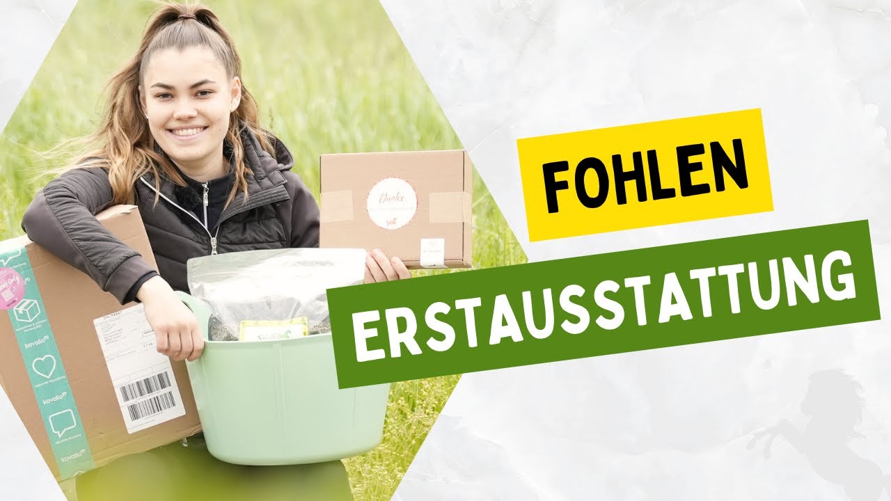 ERSTAUASTATTUNG fürs Pferd 🤩💸 | Haul