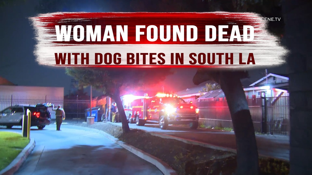 Woman Found Dead With Dog Bites in South LA