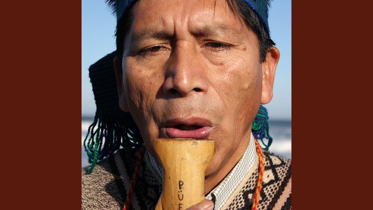 Choyke Purrun