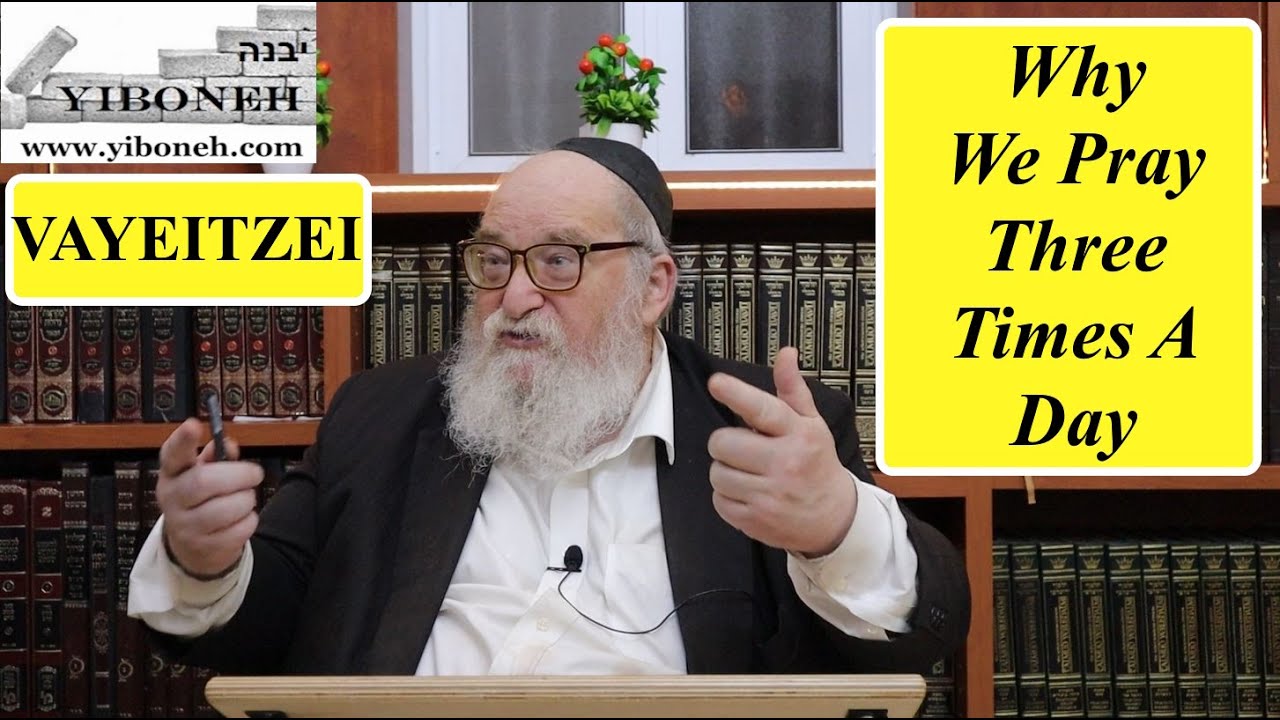 Rav Yitzchak Breitowitz: Why We Pray Three Times a Day