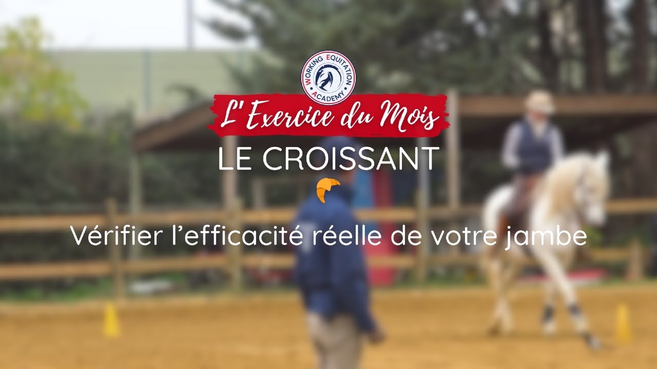 🥐 Le croissant : l’exercice parfait pour tester l’efficacité réelle de votre jambe