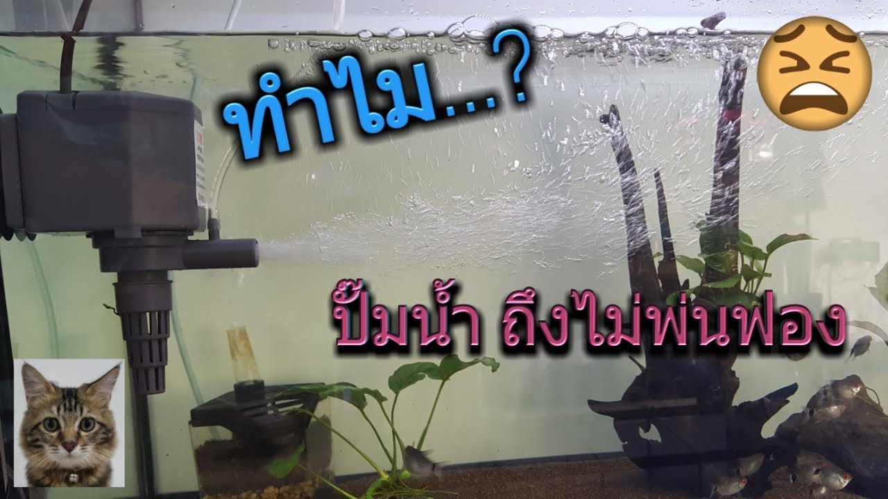 ปั๊มน้ำไม่ยอมพ่นฟอง