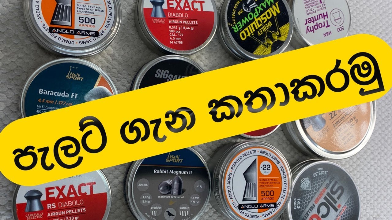 Let’s talk about pallets  පැලට් ගැන කතාකරමු