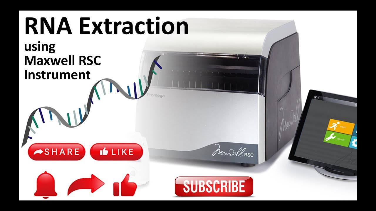 Извлечение РНК с использованием автоматизированного прибора Promega Maxwell RSC