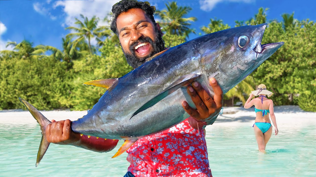 20 KG Big Tuna Maldives Cooking | M4 Tech |