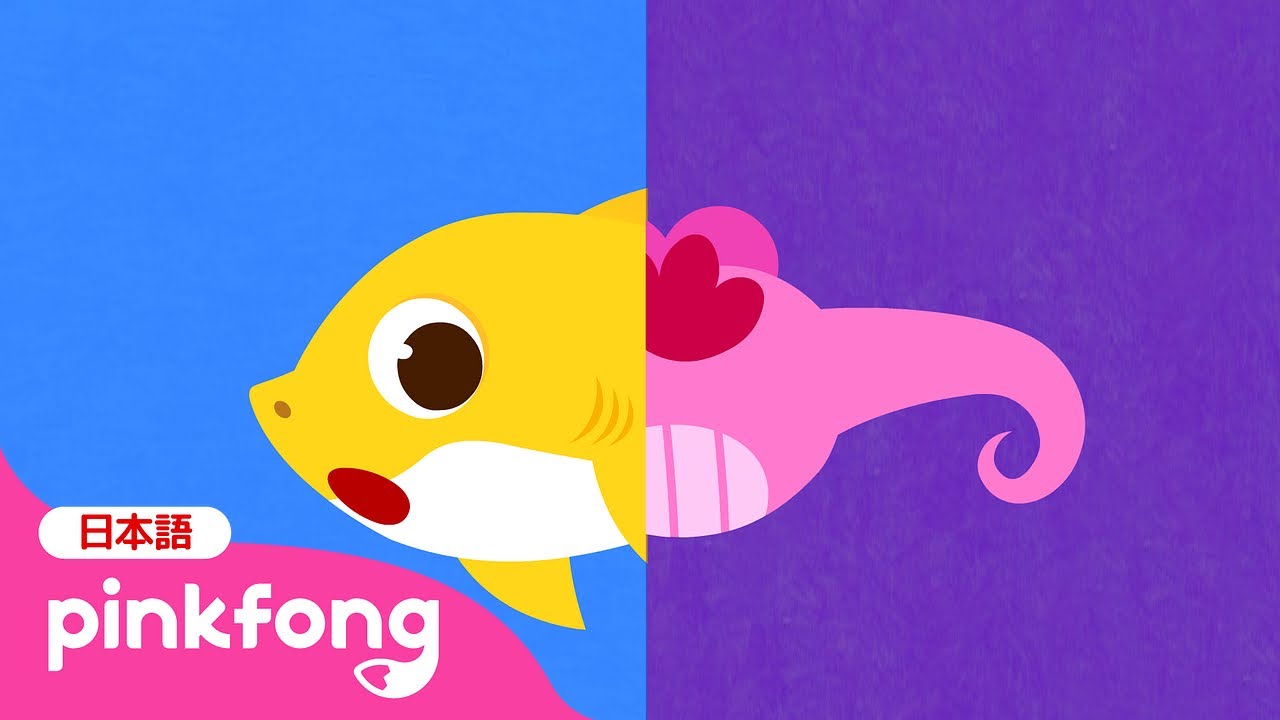おびれはどこ？ | サメのかぞく | Have You Ever Seen Shark's tail 日本語バージョン | ベイビーシャークと歌おう | 子どもの歌 | ベイビーシャークとピンキッツ