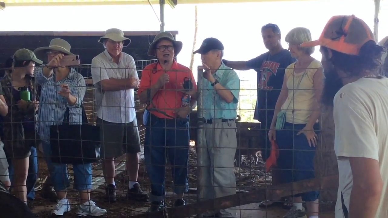 No-Smell Pigs: PureKNF Farm Tours 2017