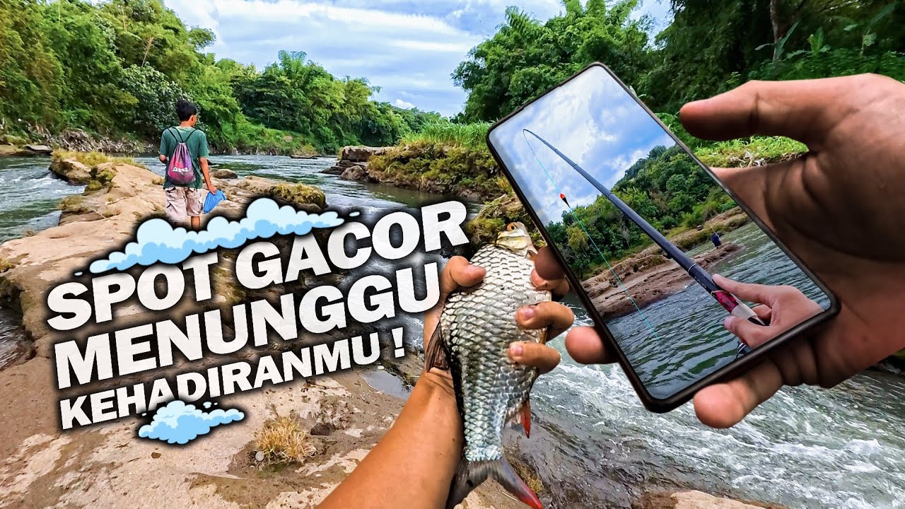 UMPAN INI DISAMBAR TANPA HENTI❗Spot Mancing Tempuran Opak