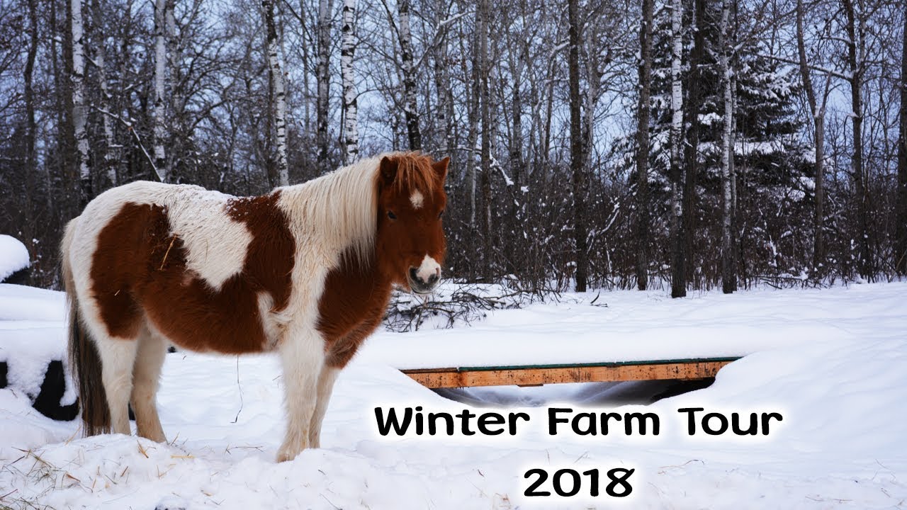 Winter Farm Tour 2018