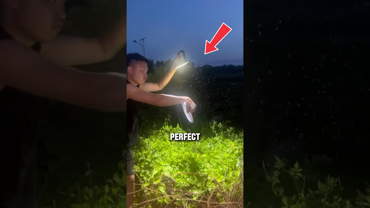 This Mosquito Trap Is Insanely Effective! 😳