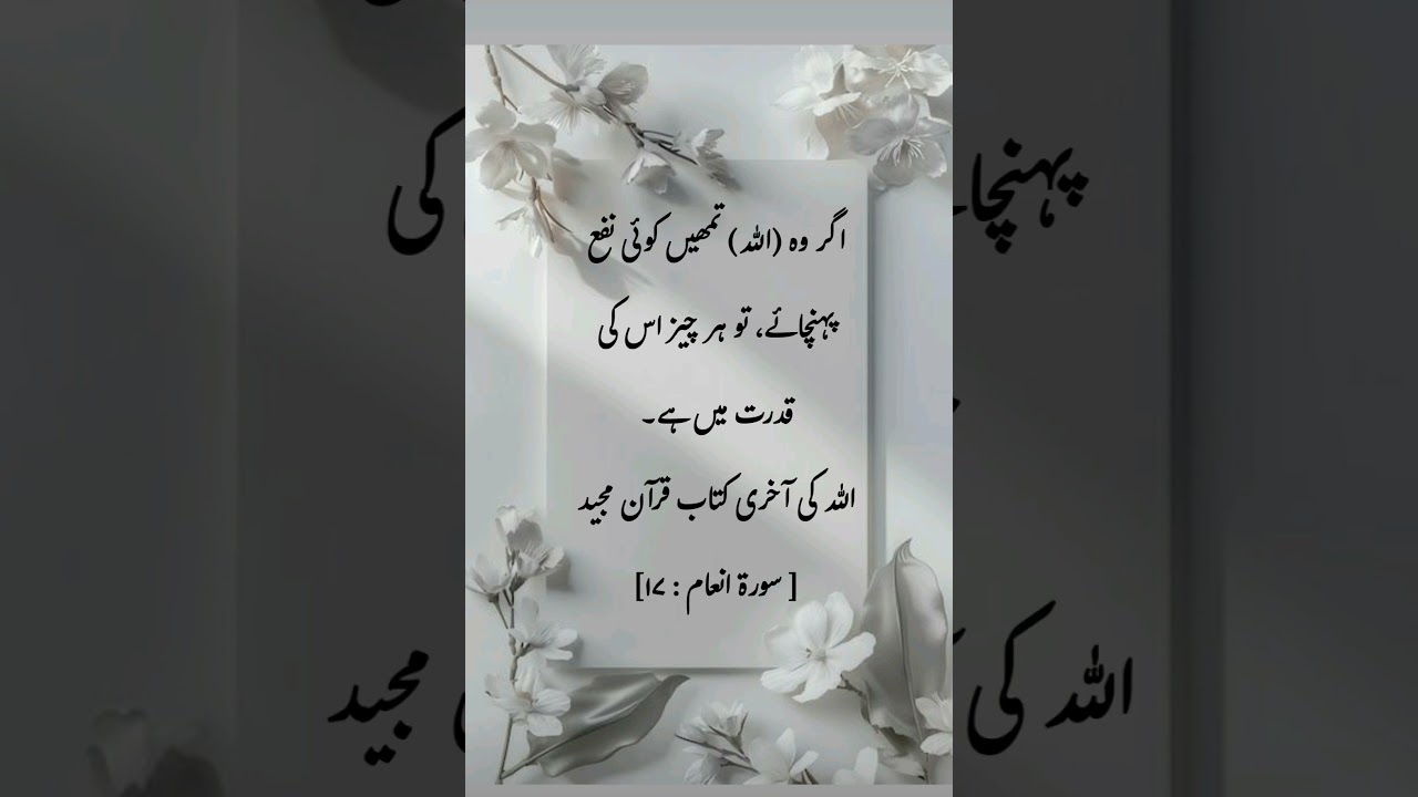 #beshq #allah#ki#aakhri#kitab#Qur'an#mazid#explore  💖🍁