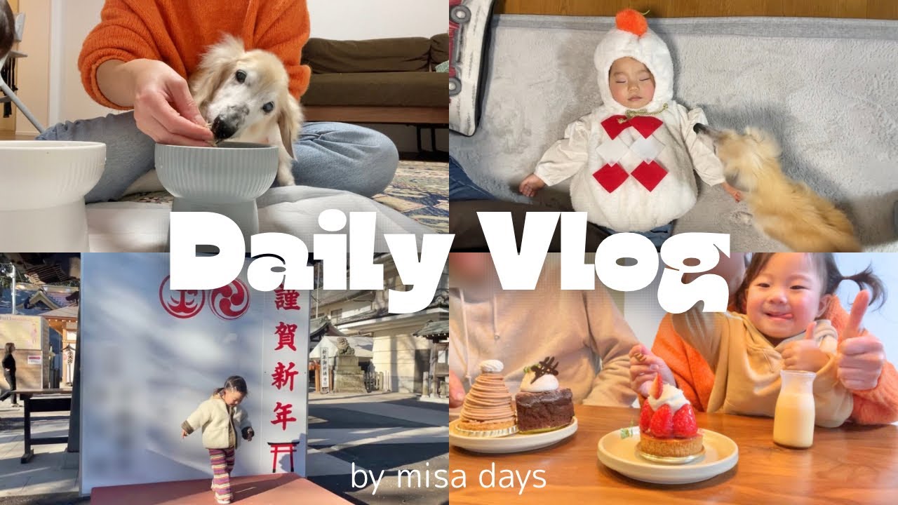 【vlog】年末年始🎍19歳ダックスの介護🐶最近のシフォンの様子🐾誕生日🎂2歳ママ👩🏻