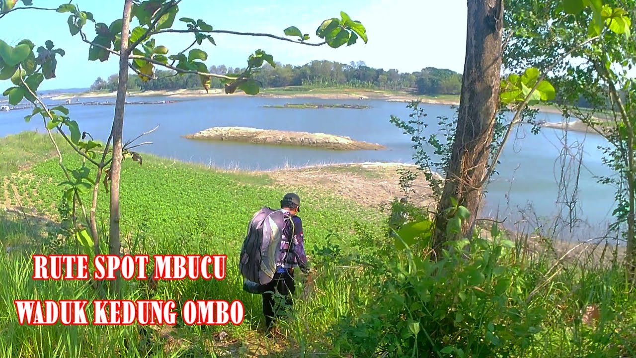 MANCING WKO‼️RUTE SPOT MBUCU WADUK KEDUNG OMBO VIA DARAT #mancing #fishing #tilapia #rutespot #wko