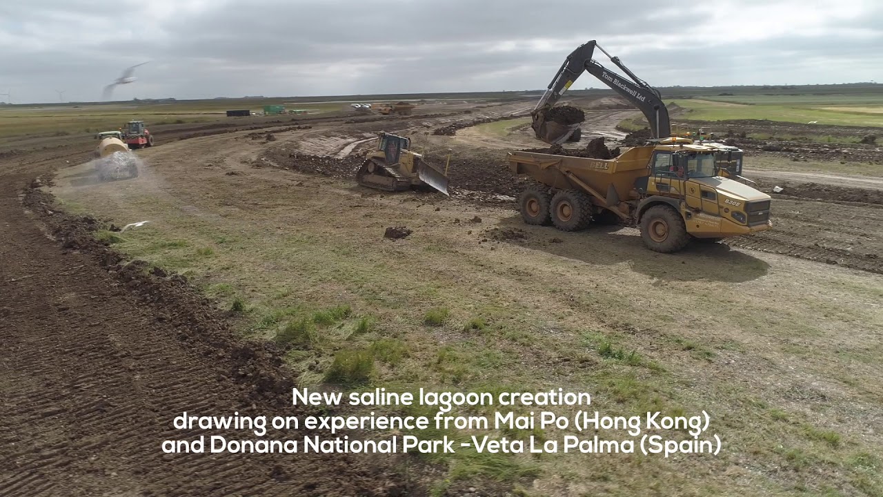 Creating Wallasea Island nature reserve