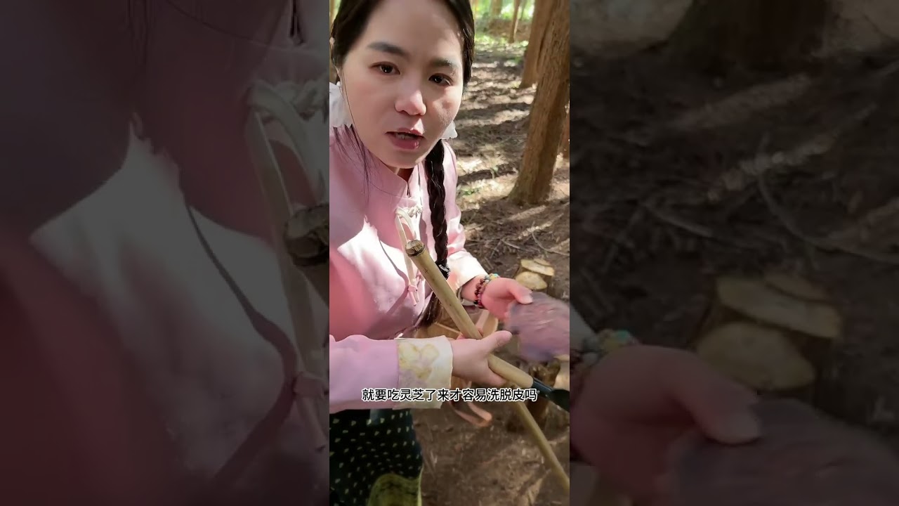 旅游来到了云南 中老边境的大山里遇到了一位 采集山药材的 漂亮小阿妹 #记录真实生活#真实生活2026 #西助农行 #农村生活#剧情 #随拍