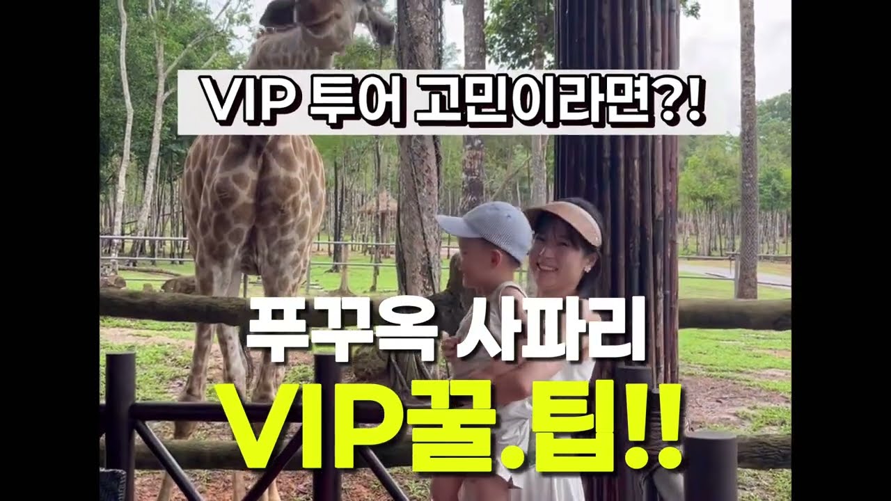 🇻🇳푸꾸옥 사파리🦒 VIP투어 꿀팁 정리!!!  아이와 함께 먹이주기 체험까지 가능👌🏻