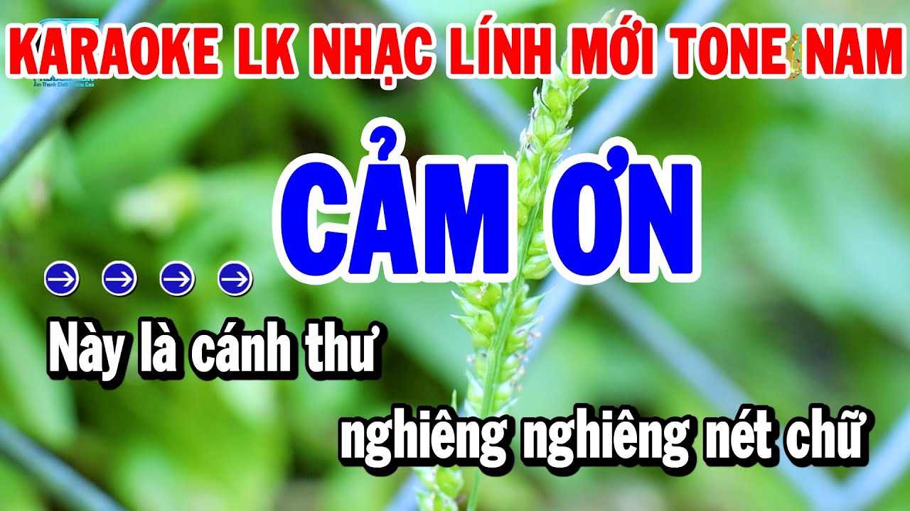 Karaoke Liên Khúc Tone Nam Nhạc Sống Rumba Dễ Ca | Cảm Ơn - Gõ Cửa Trái Tim | Thanh Hải