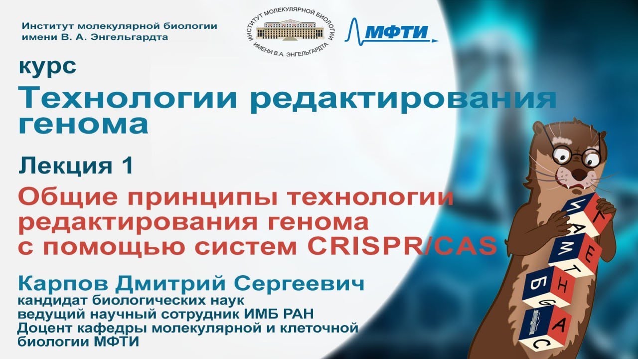 Курс лекций 