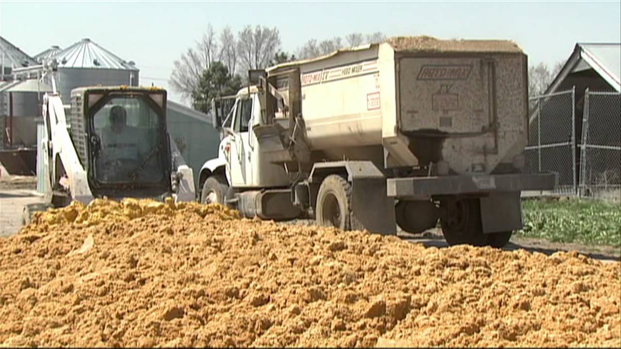 Storage Methods for Ethanol Co-Products - Nutrient Composition