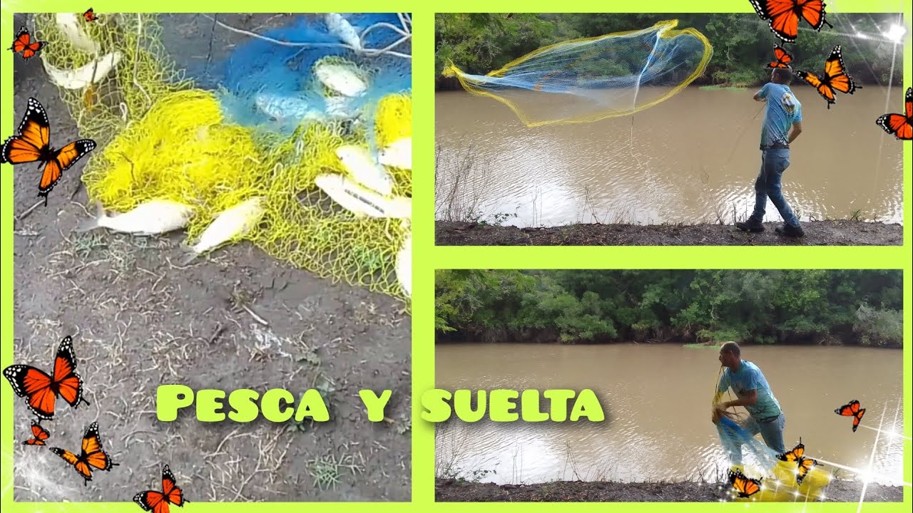 pesca con atarraya.. arroyo envenenado.😞
