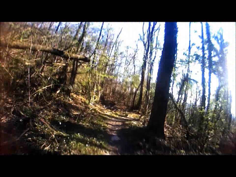 Comerio Parco Morselli - sentiero in mtb