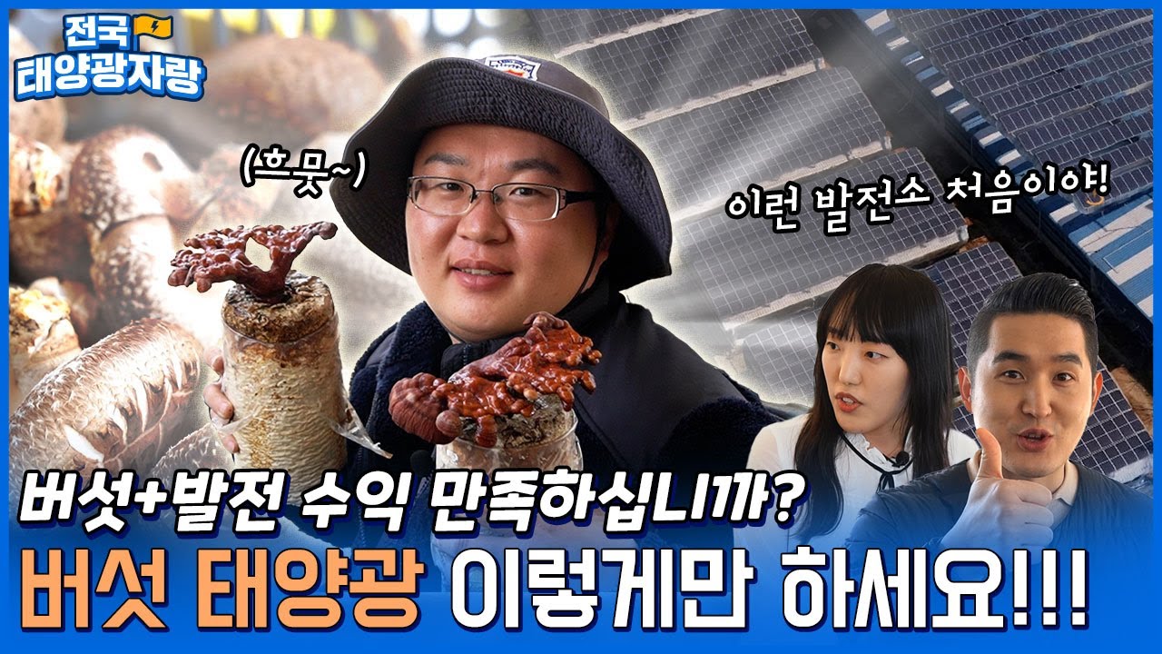 Ep.03 버섯왕+발전왕 ‘일거양득’ 농촌 태양광 관리 딱 이렇게만 하세요. 300kW 버섯 재배사 태양광 발전소 [전국태양광자랑](with 심슨팜)