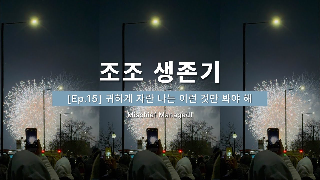 [런던 브이로그 Ep.15] 귀하게 자란 나는 런던 새해 불꽃놀이만 봐야 해