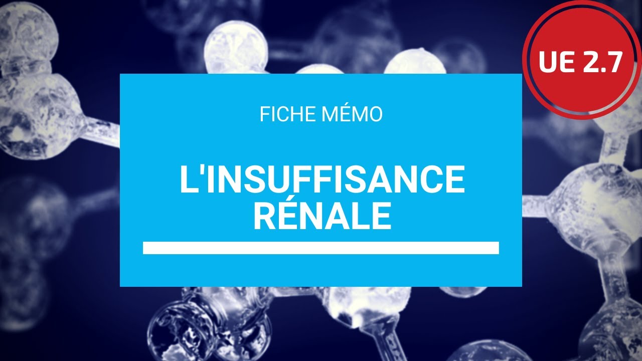 UE 2.7 L'insuffisance rénale