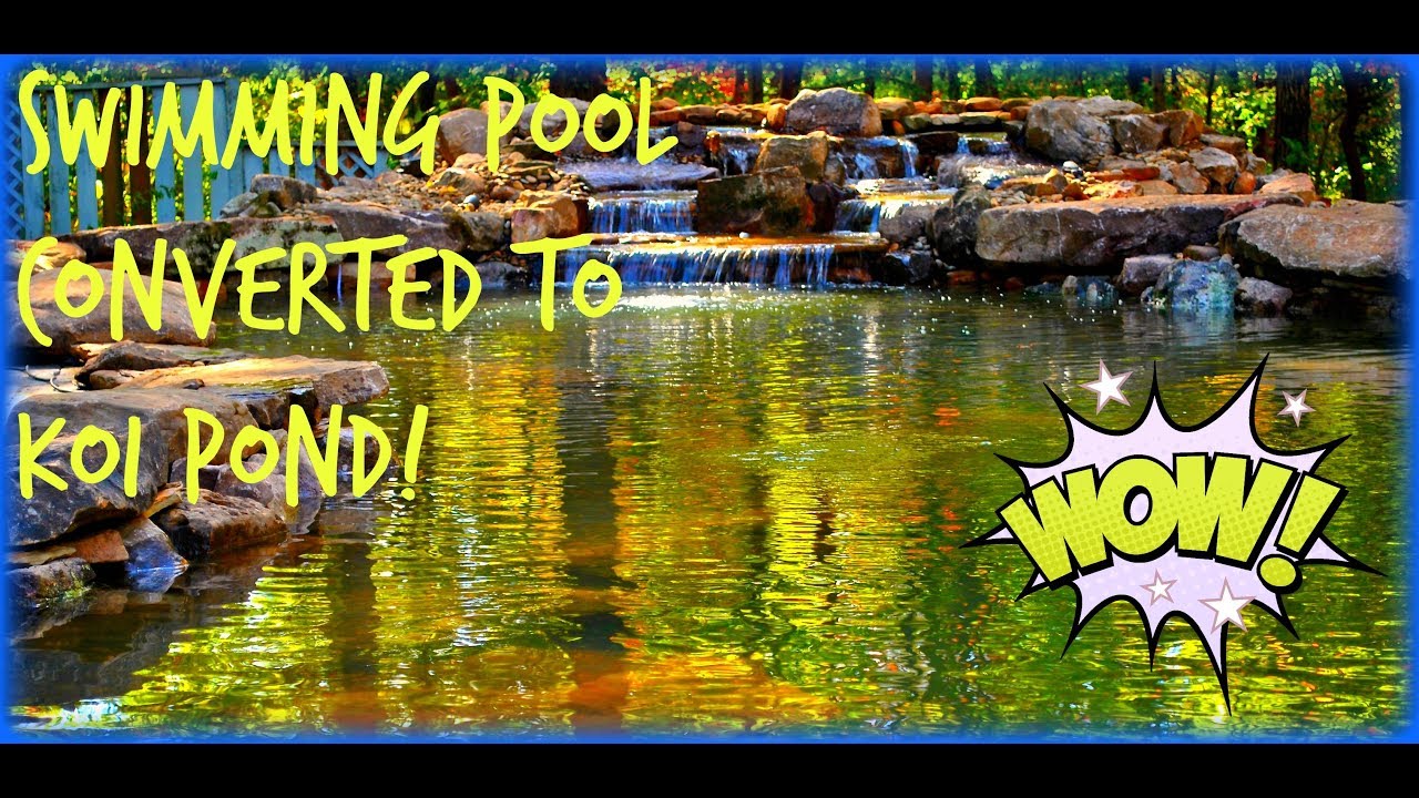 How to Convert a Swimming Pool into a Koi Pond Water Garden Project New Jersey
