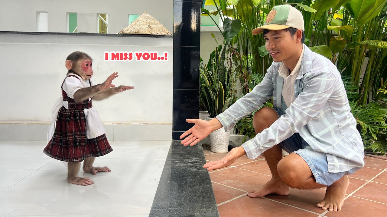 So touching! Lily's reaction when waiting for dad to come home | Lily's story