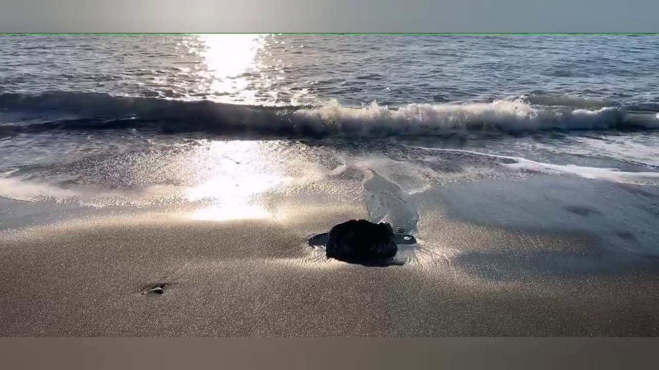 Sonido de Olas 🌊: Para relajarse en esta cuarentena y no sentir demaciado estr&eacute;s.