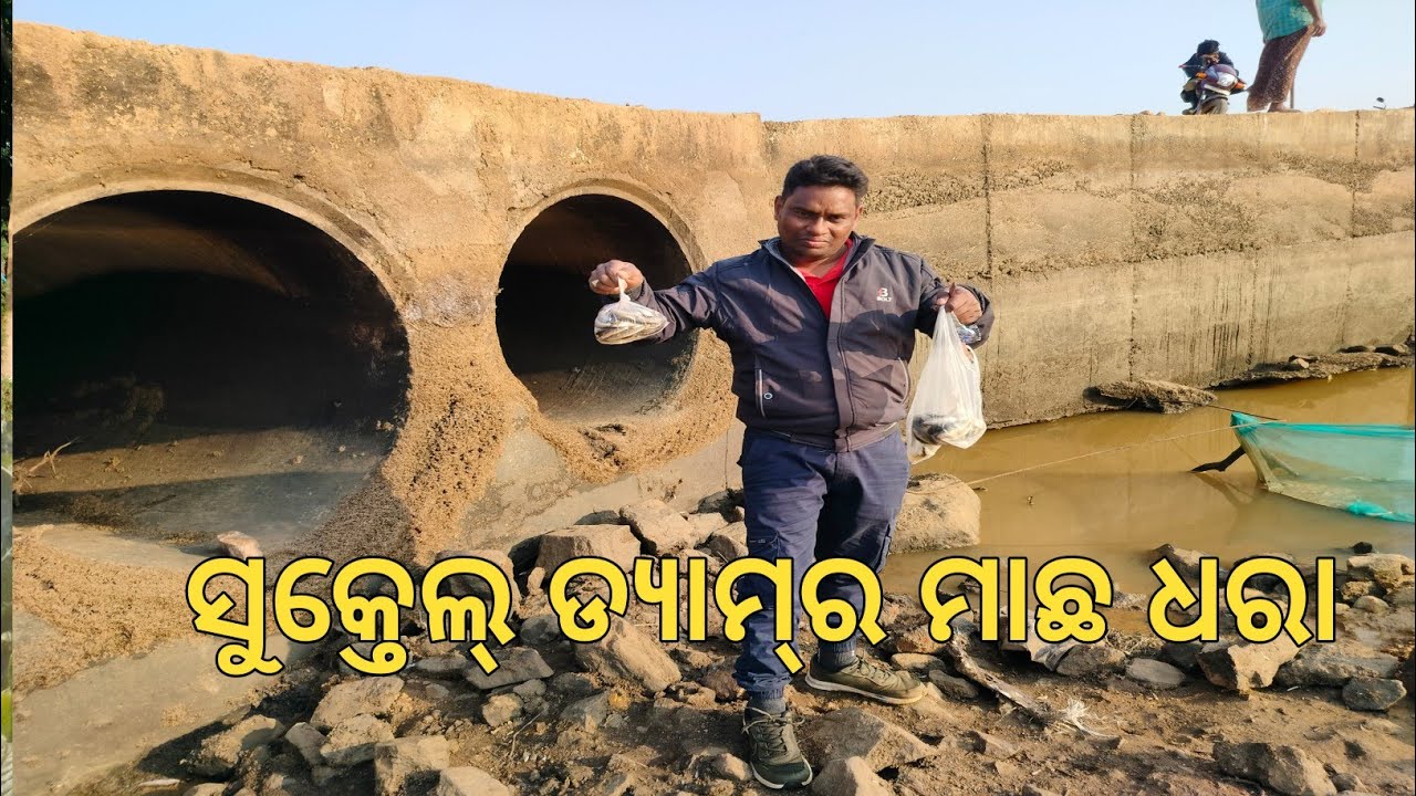 ମାଛ ଧରିବାର ଆନନ୍ଦ | Fishing Time in Nature | Village Fishing Vlog|Ab Singh Journey|odia vlog 