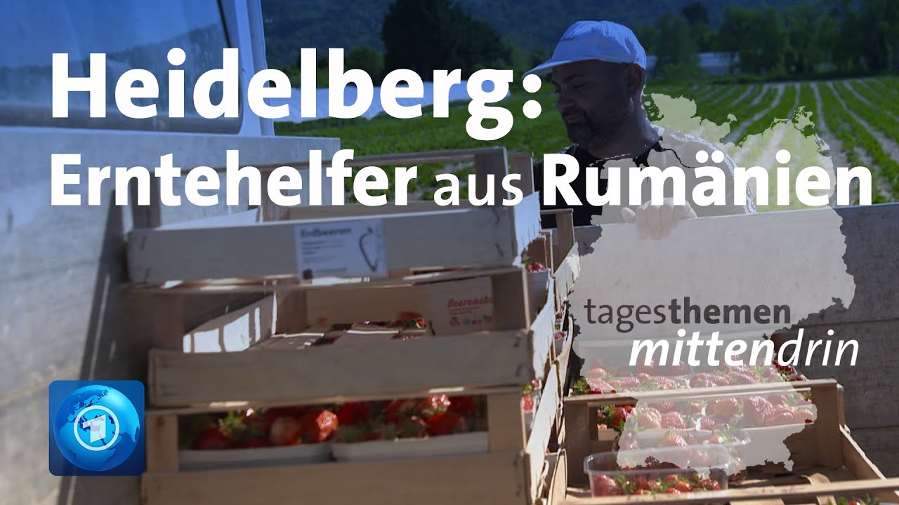 Heidelberg: Erntehelfer aus Rum&auml;nien | tagesthemen mittendrin