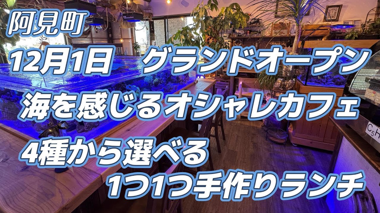 cafe de mare 癒される海のあるカフェ