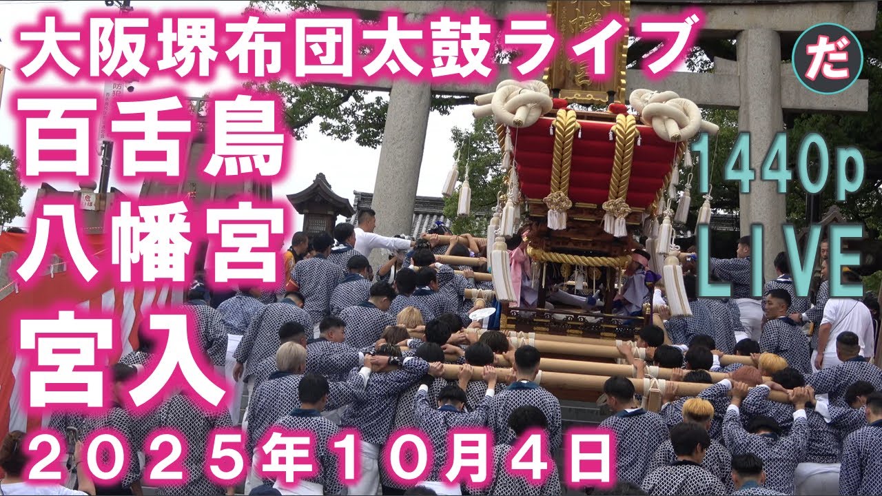布団太鼓ライブ 百舌鳥八幡宮 宮入前半 大阪 堺 ２０２５年１０月４日