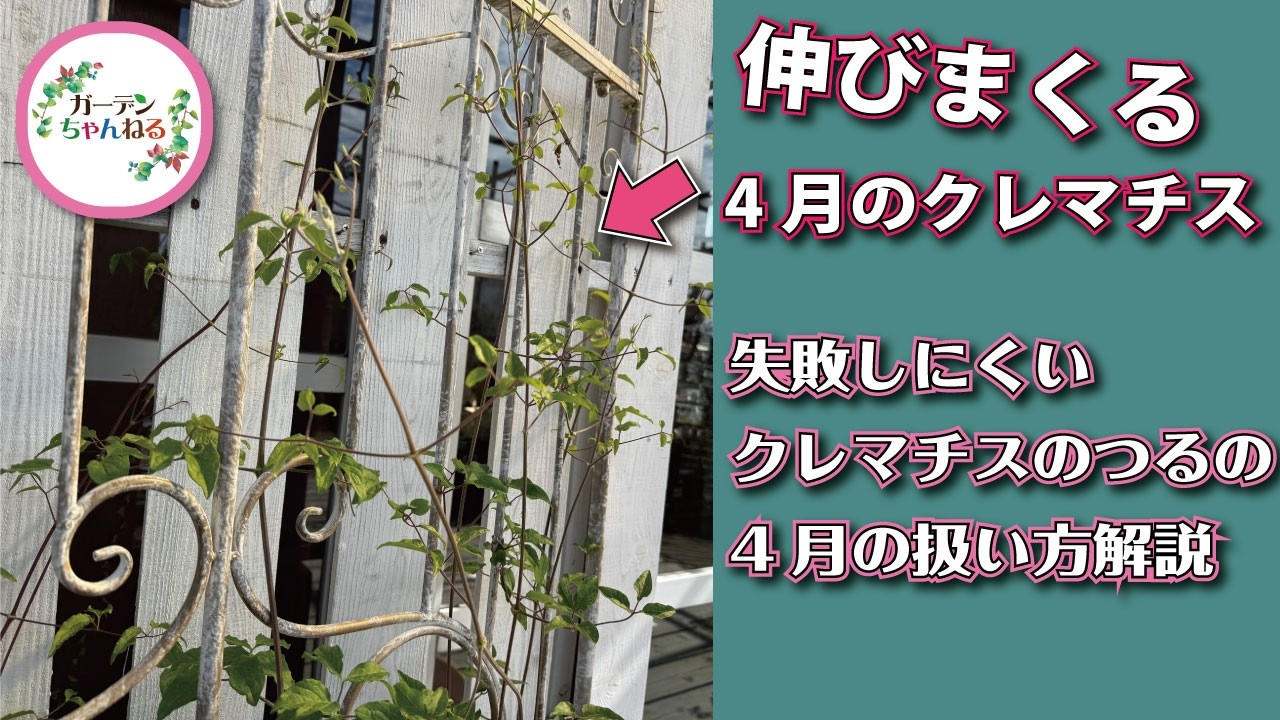 「クレマチスのつる」攻略するコツ解説します！