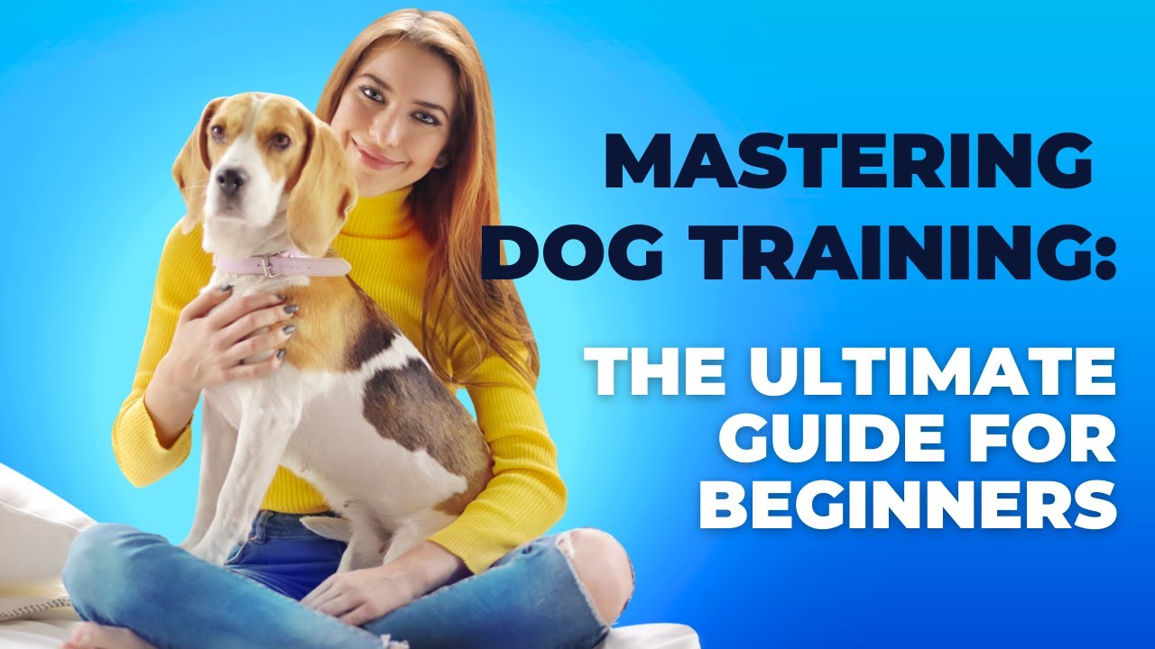Mastering Dog Training: The Ultimate Guide For Beginners