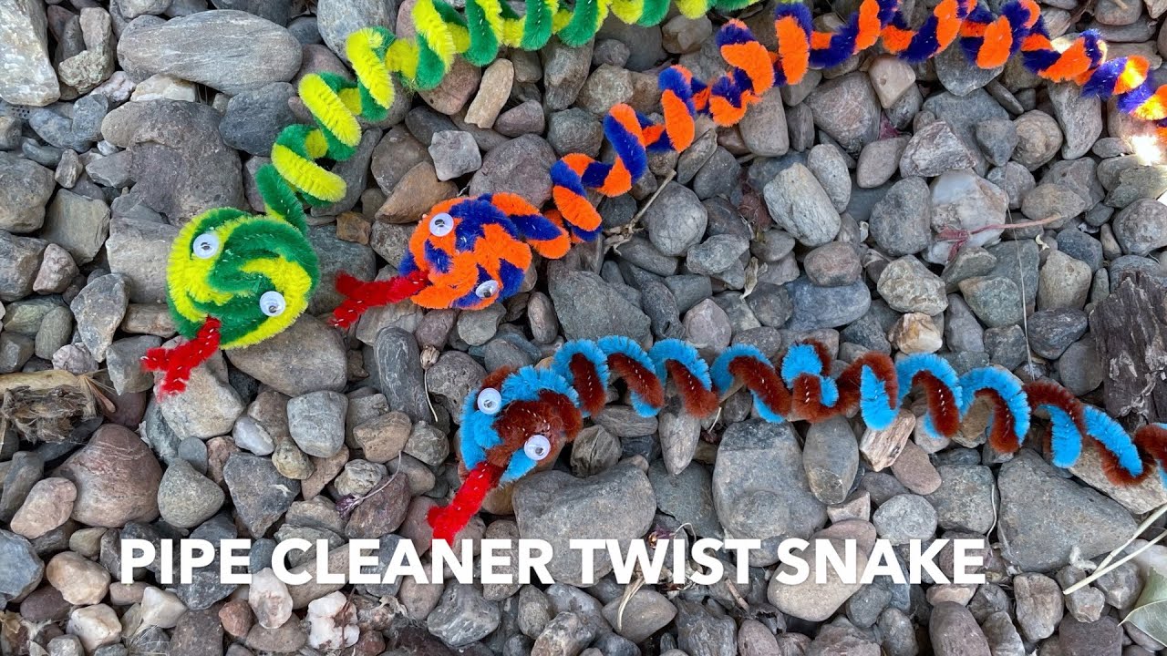 Pipe Cleaner Twist Snake