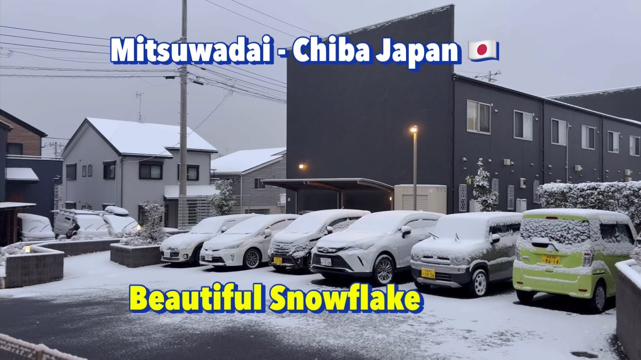 Beautiful Snowflake in Mitsuwadai - Chiba Prefecture Japan 🇯🇵🇺🇬edrin kalema 